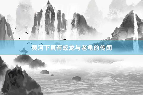 黄河下真有蛟龙与老龟的传闻